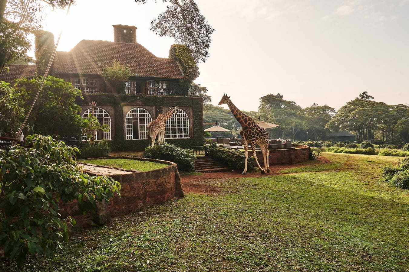 Hotels And Cruises That Redefine Travel