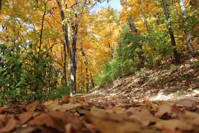 Illinois Conservation Foundation Illinois Outdoor Excellence Awards return in 2026